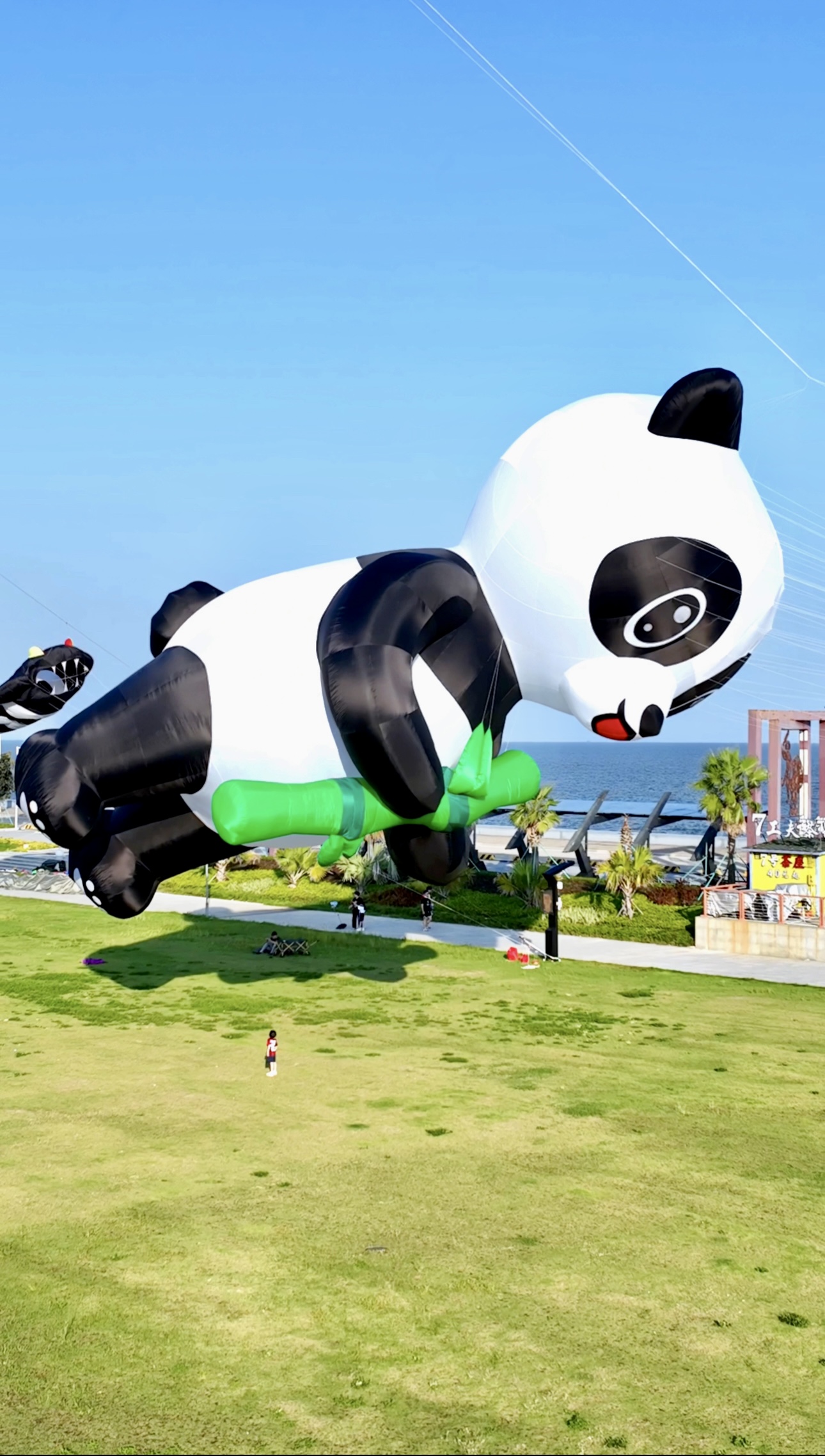 潜江市风筝批发风筝放飞活动策划 - 方案