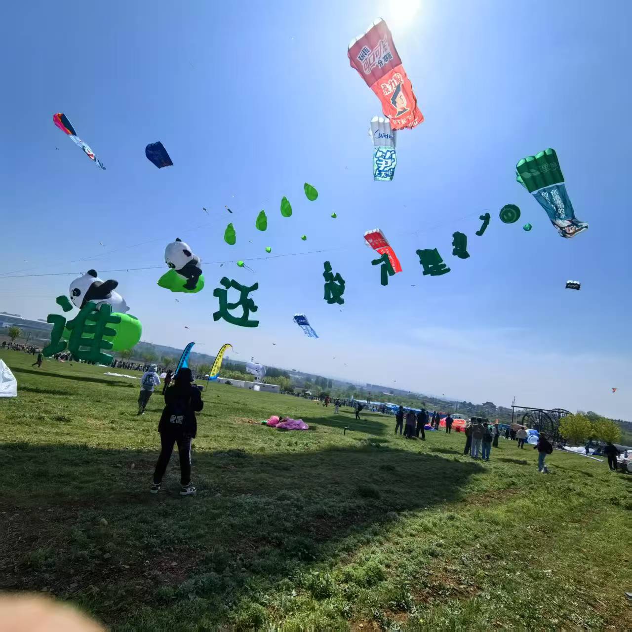 潜江市宣传风筝定制风筝定制 - 哪里好